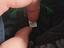 Immagine 3