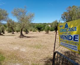 Piandanna, lotto di terreno con progetto