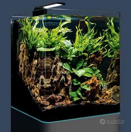 Acquario 33 litri come da foto - tutto incluso