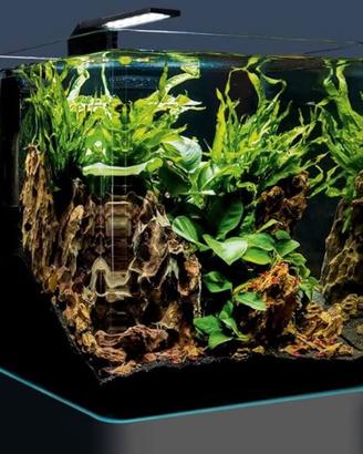 Acquario 33 litri come da foto - tutto incluso