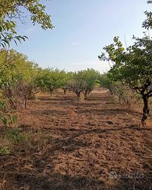 Terreno agricolo vicino aree centrali