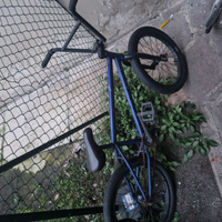 Bmx cult control