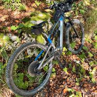 Cannondale Habit neo 3