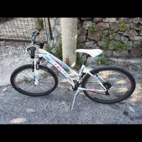MTB Atala front 
