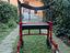 Immagine 3