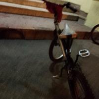 bmx 20