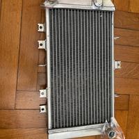 Radiatore Z750 2005
