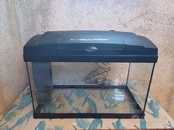 acquario 