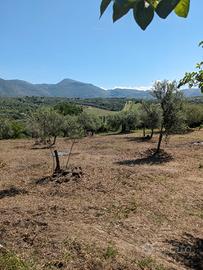 Terreno località "Patrascia"