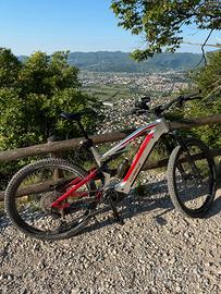 Whistle b-rush A8.5 luglio 2025 650 km
