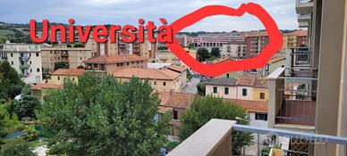 Camera studenti Torrette Ancona
