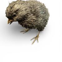 Collezionista gioielli firmati