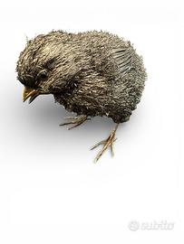 Collezionista gioielli firmati