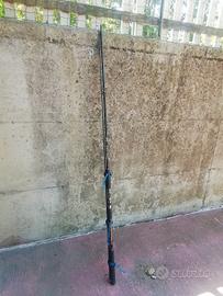 canna da pesca per siluro