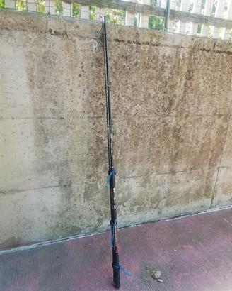 canna da pesca per siluro