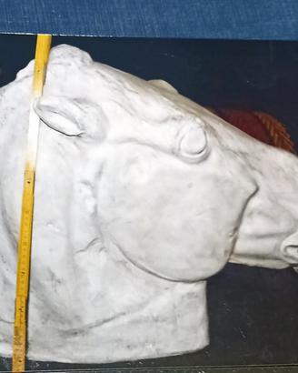 calco in gesso testa cavallo Fidia