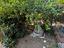 Immagine 19