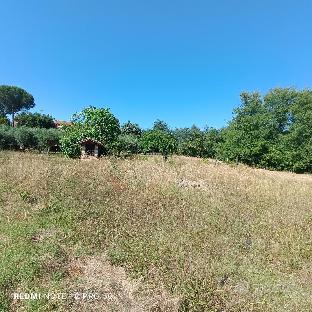 TERRENO EDIFICABILE PER SINGOLA VILLETTA - Vista 3