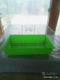 gabbia per conigli nani 