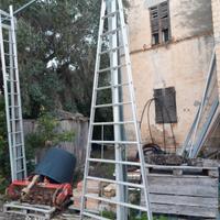  scala  agricola 12 pioli