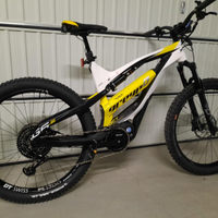 E Bike Greyp G6.2 Expert Bici Elettrica 700Wh Tg L