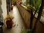 Immagine 16