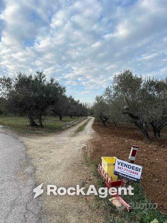 Rustico / Casale di 81 m² con 3 locali a Moscufo - Vista 5