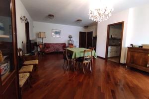 Stanza in ampio appartamento luminoso 2 bagni