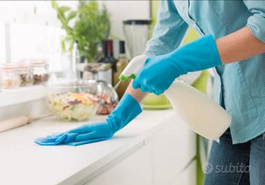 Pulizie domestiche