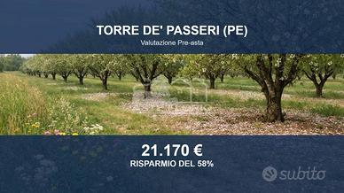 Immobile in asta di 33470 m² a Torre de' Passeri