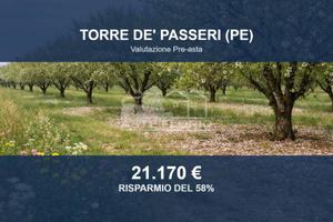 Immobile in asta di 33470 m² a Torre de' Passeri