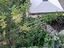 Immagine 19