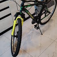 MTB come novo due anni gvaracia poco usato 29route