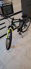 MTB come novo due anni gvaracia poco usato 29route