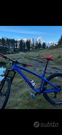 Mtb DARTMOOR 27,5+\29