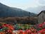 Immagine 10