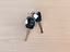 Immagine 15