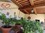 Immagine 14