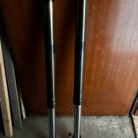 Forcelle SWM R 125 RS 2017