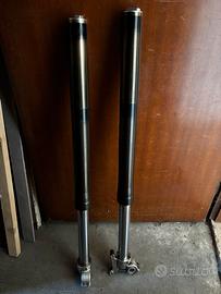 Forcelle SWM R 125 RS 2017