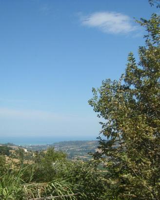 Casale / Rustico - Montefiore dell'Aso