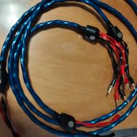 Cavi Wireworld Oasis 8 speaker