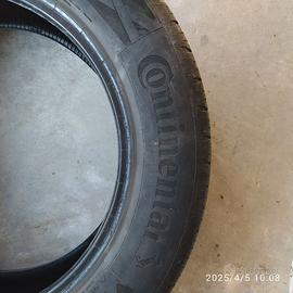 gomme estive continental
