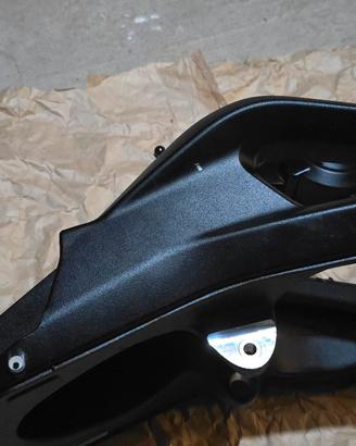 Forcellone Triumph Street Triple 765 RS