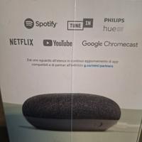 google home