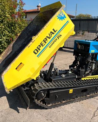 M159 - Dumper radiocomandato ribaltabile seminuovo
