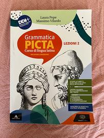 Grammatica Picta lezioni 2+Cesare pubblico/privato