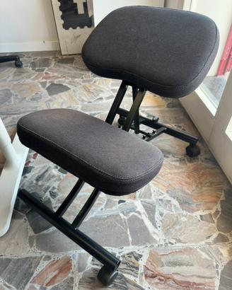 Sedia Ergonomica IKEA