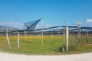 S.ambrogio di valp. terreno agricolo no D.O.C