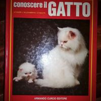 CONOSCERE IL GATTO 